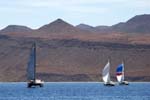 7 Catamarans and 7 monohulls sailed