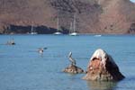 Ensenada de la Partida is a pretty bay