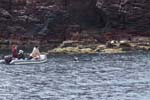 Swimming with the sea lions is an incredible experience