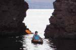 Sue really liked kayaking around the sea lions